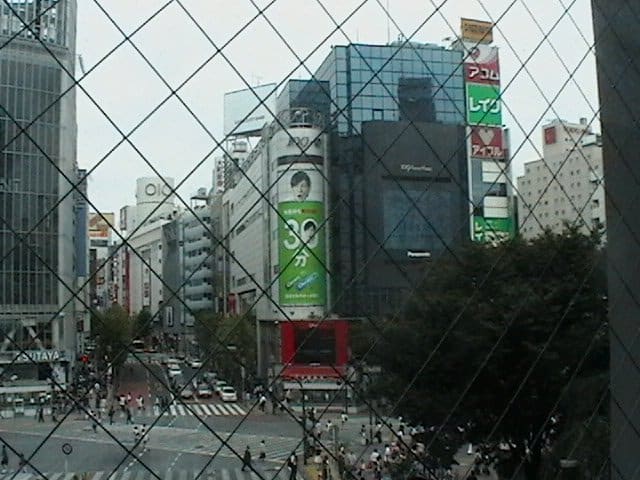 took a picture of Shibuya famous walking street