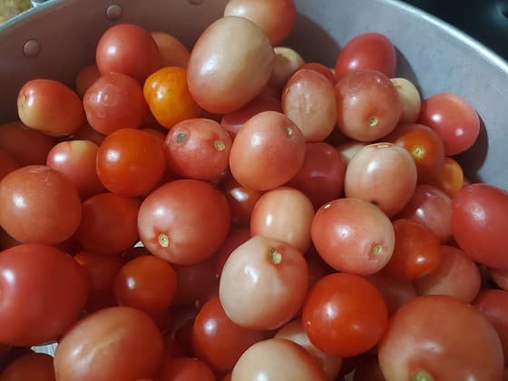 What are the 4 health benefits of the tomato