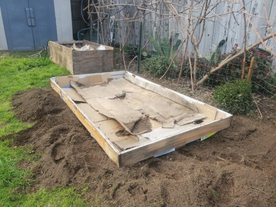 picture of raised garden bed in back yard. Garden Bed with No Money