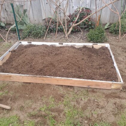 Garden Bed with No Money